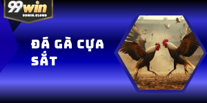 Đá Gà Cựa Sắt – Cá Cược Kịch Tính Và Bền Bỉ Tại 99WIN